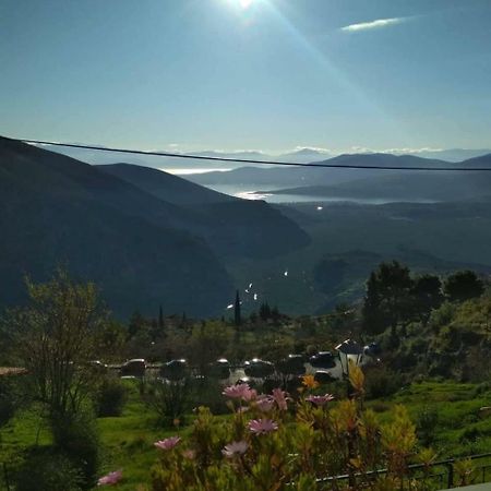 Sun View Guesthouse Delphi Buitenkant foto